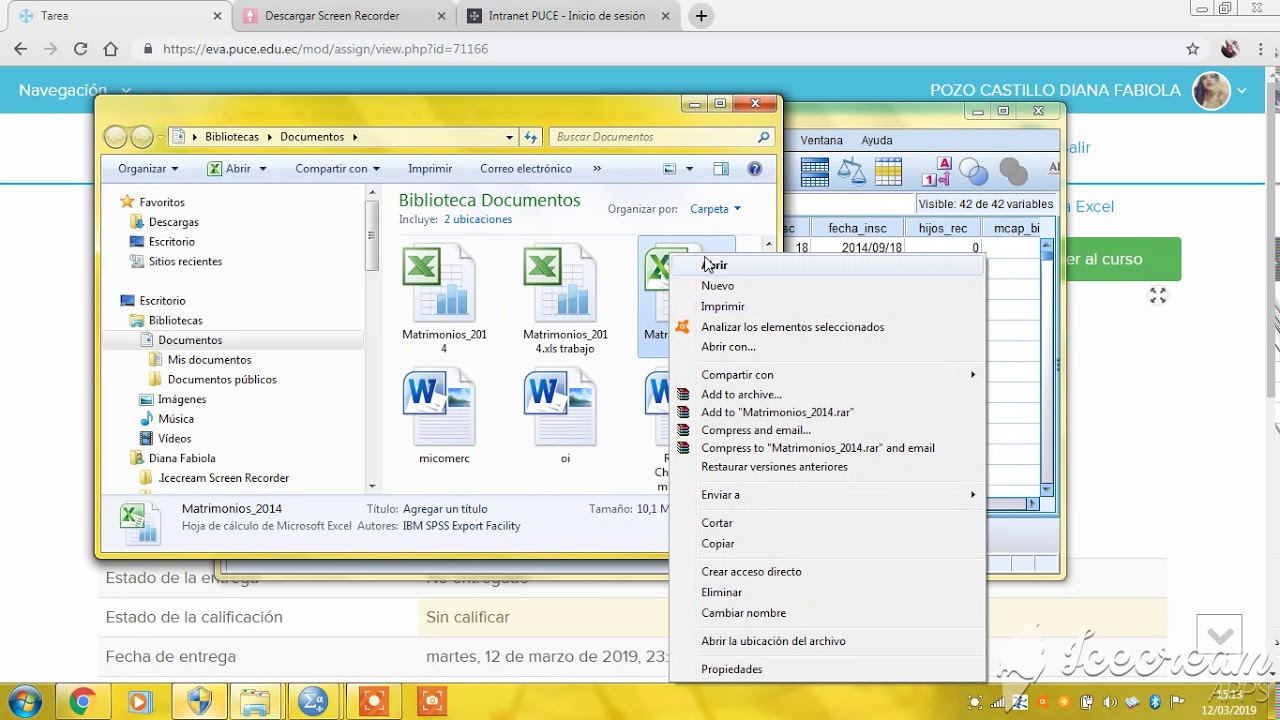 Migrar datos de SPSS a Excel_Deber