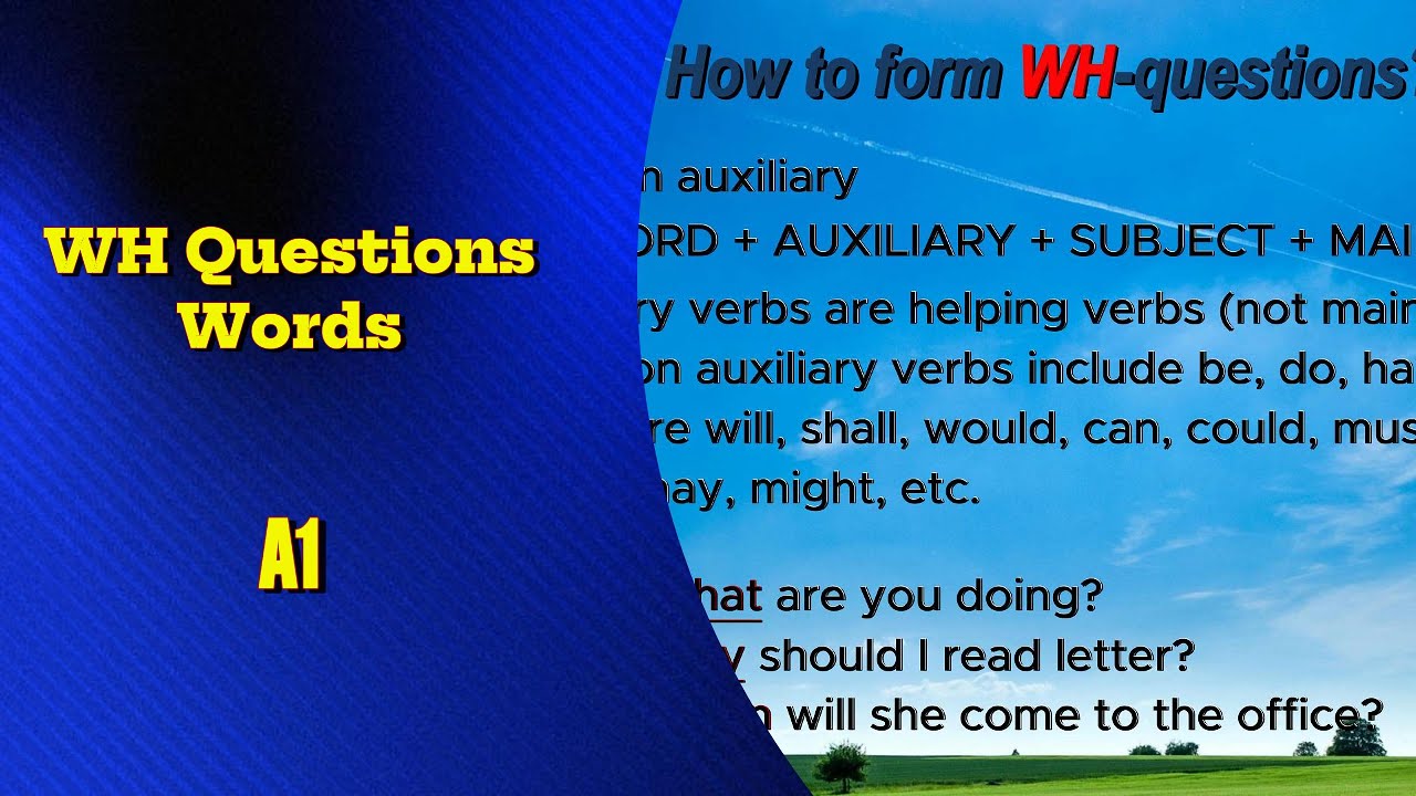 WH  Question words