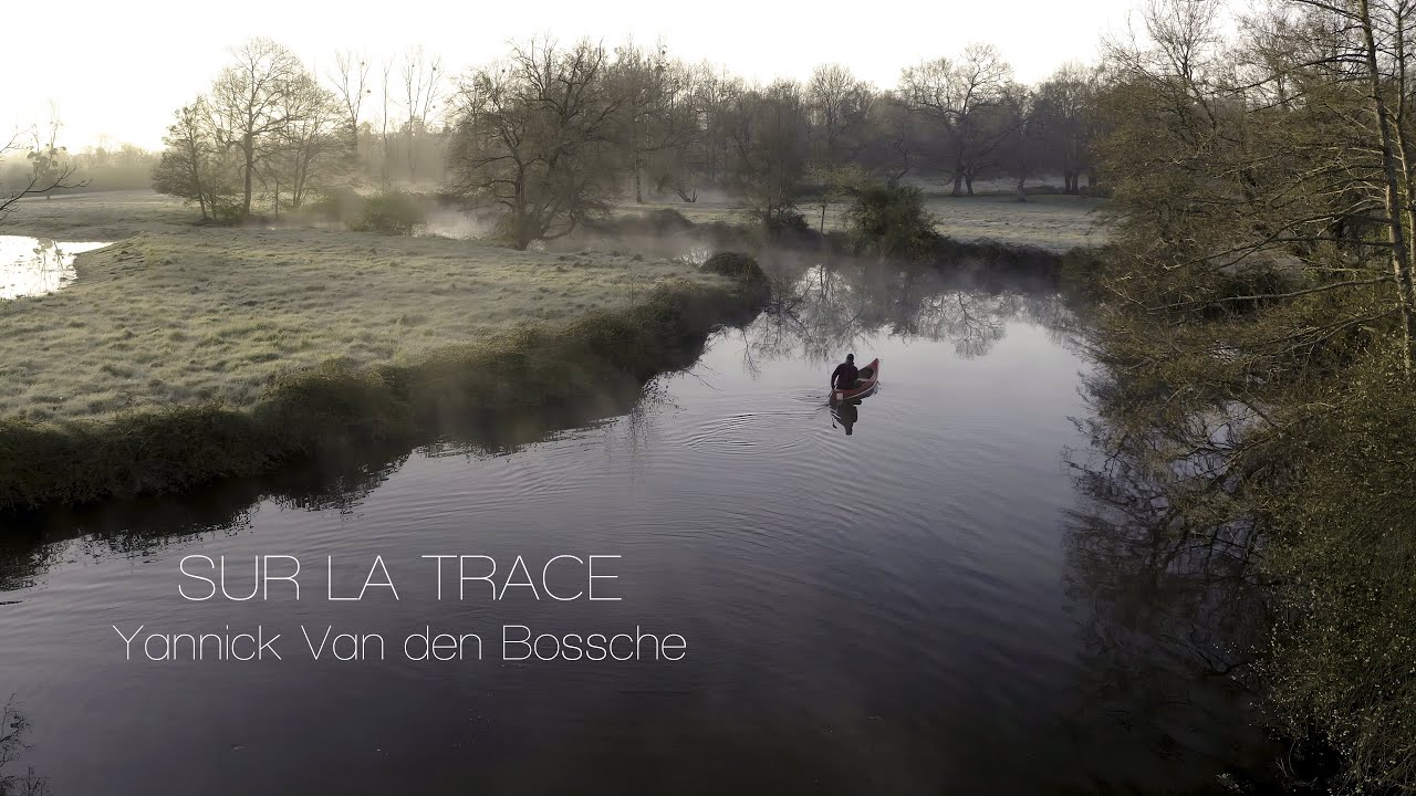 Sur la trace - A la recherche de la loutre en France