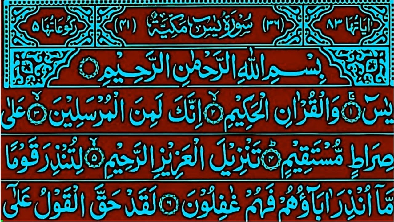 Surah Yaseen Surah Rahman || Surah Mulk full || Beautiful Qur'an Recitation || Most Qur'an Tilawat
