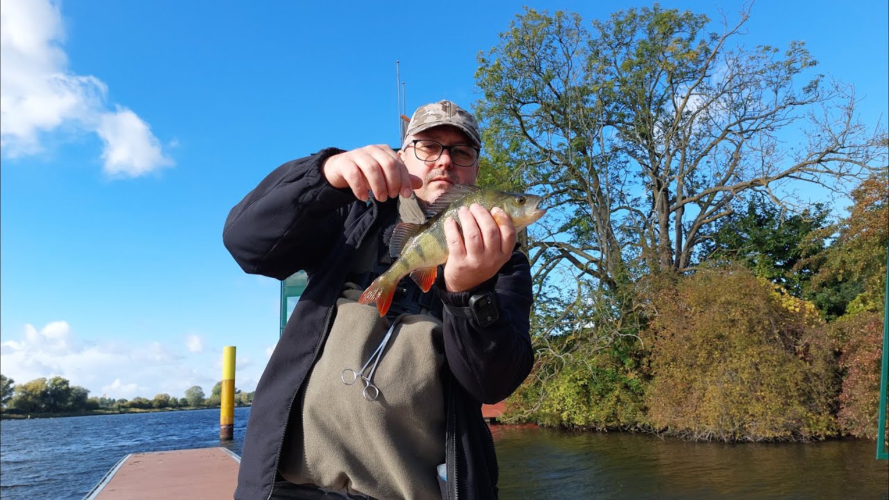 Okonie na spinning 2022 # Street fishing