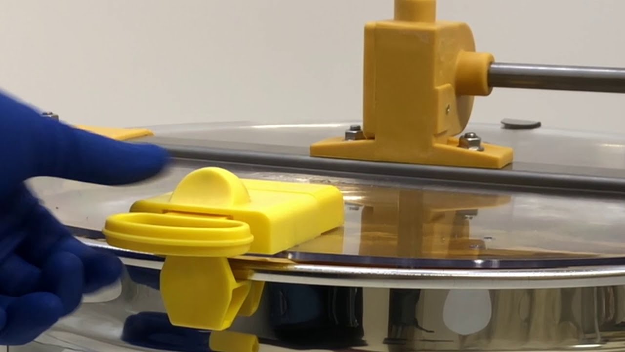 Smelatore, Quarti Italy