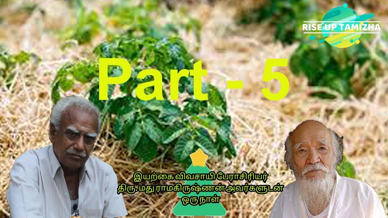 மண்ணை வளப்படுத்தும் மூடாக்கு ||இயற்கை விவசாயி திரு. மது ராமகிருஷ்ணண் அவர்களுடன் ஒரு நாள் || Part - 5