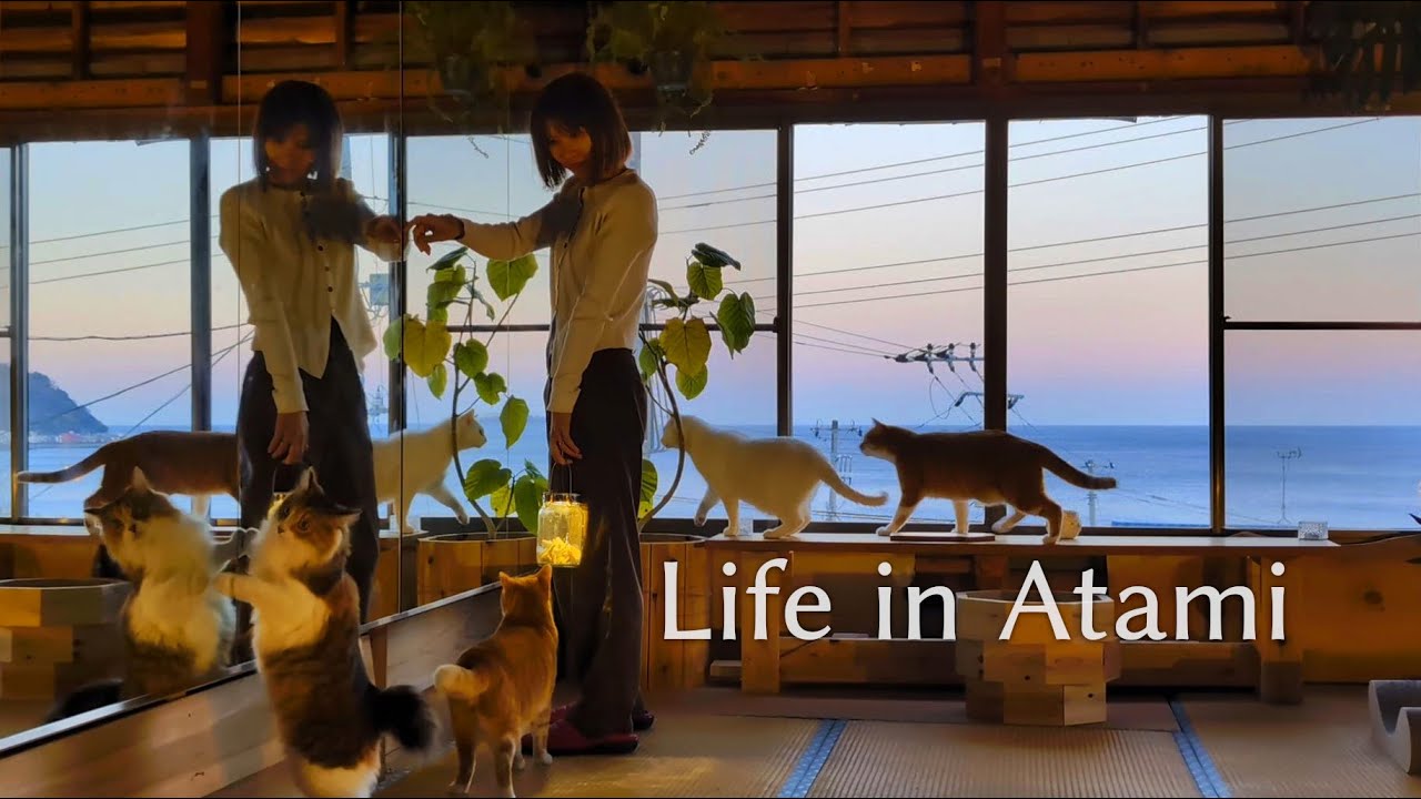#102 ネコとDIYと植物の暮らし🌳｜鏡の取り付けDIY｜
