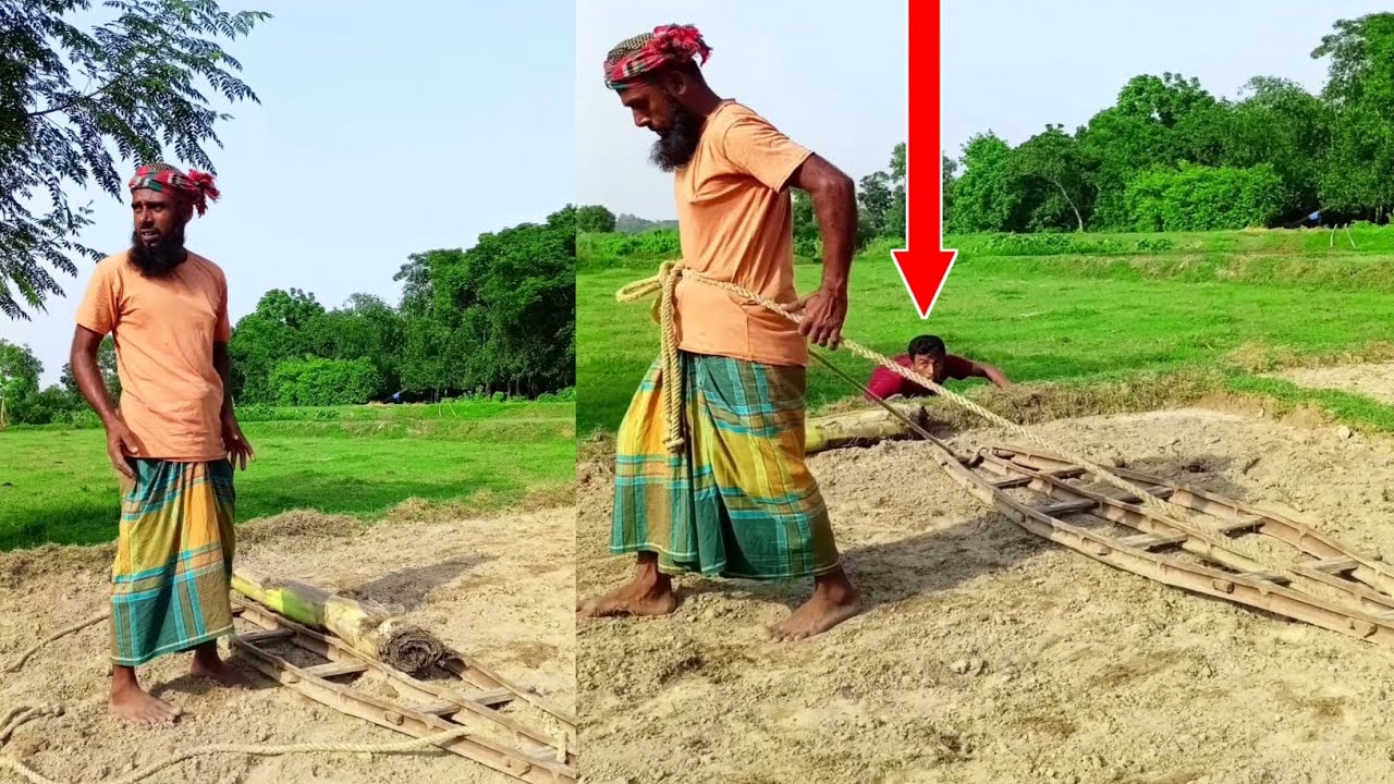 মইয়ের মধ্যে কলাগাছ দেয় কে