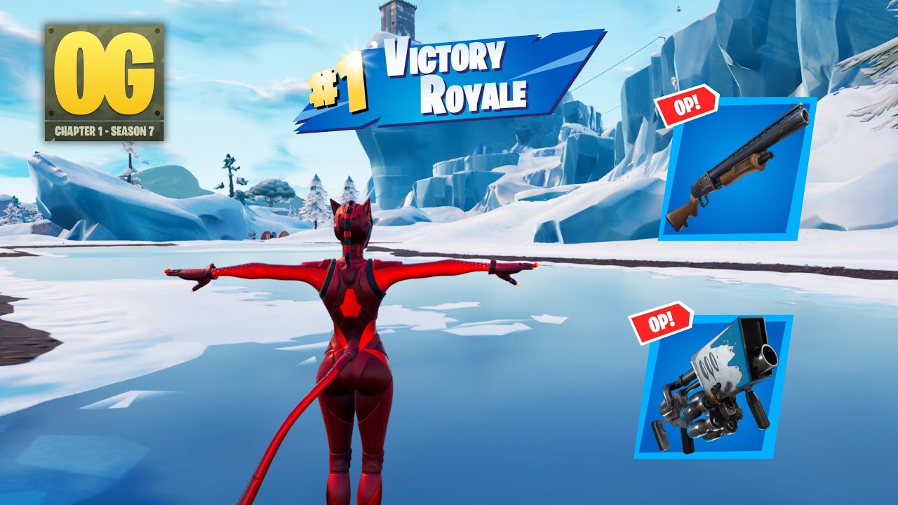 21 Kill Fortnite Solos 