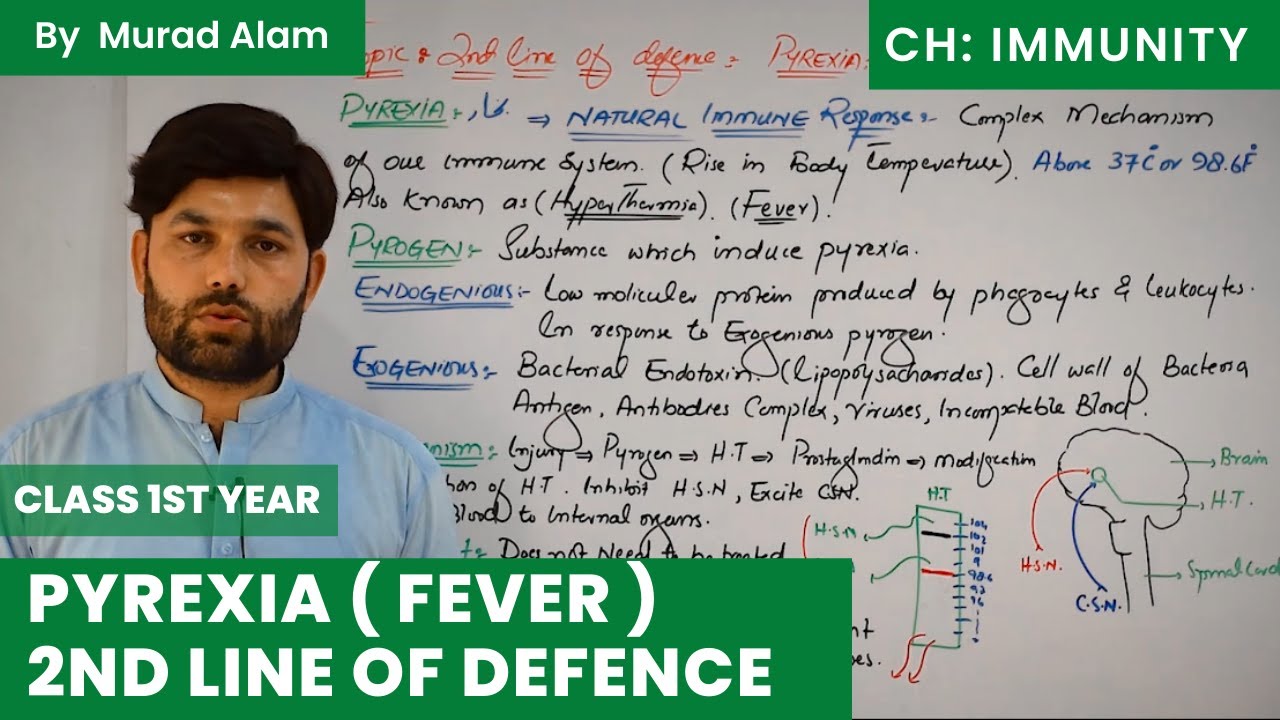 Pyrexia ( Fever ) 2nd line of defence  Biology 1st year in Urdu/Hindi l Ch: Immunity
