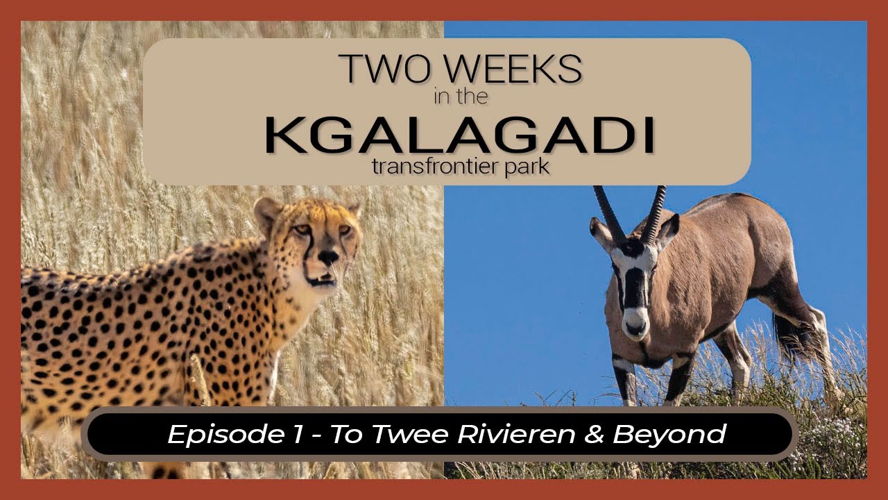 Two Weeks in the KGALAGADI - Episode 1 - To Twee Rivieren & Beyond