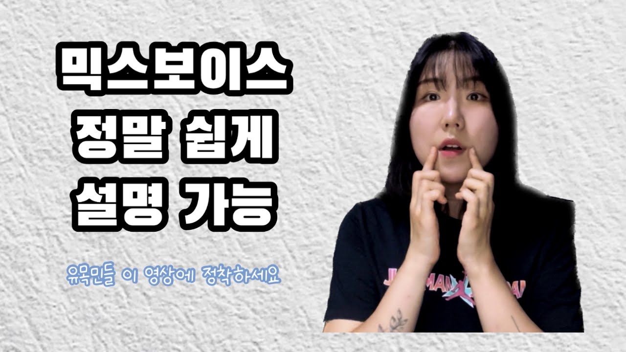 믹스보이스 누구냐 너…