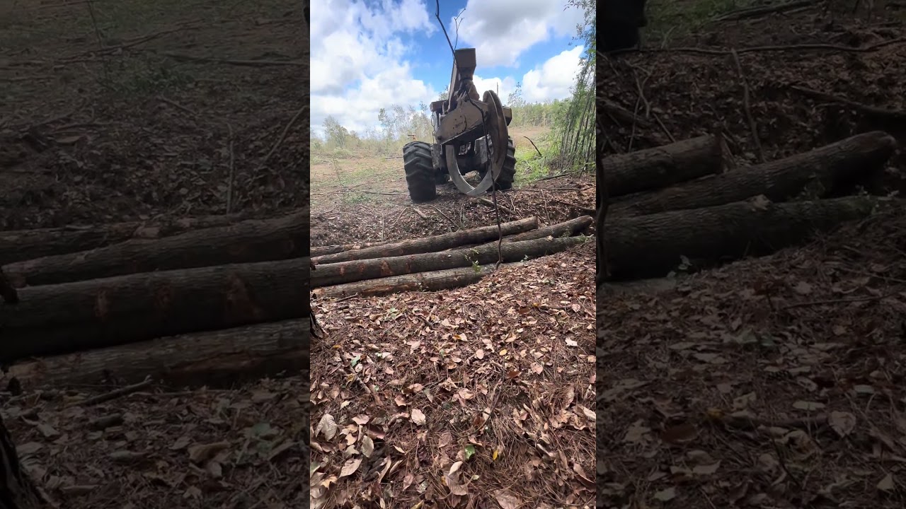 This is how we cross a flowing stream of water! 