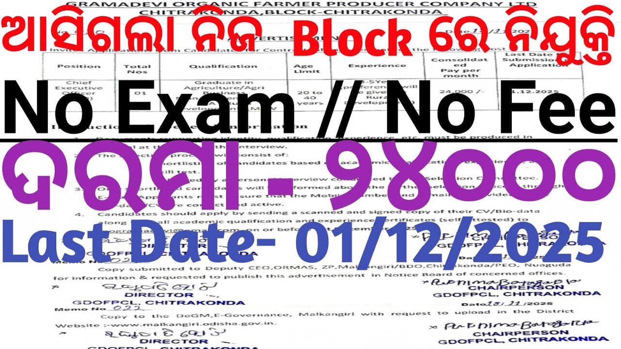 Odisha Block level CEO Recruitment 2025//OOdisha government jobs 2025//Block CEO 2025 Recruitment 