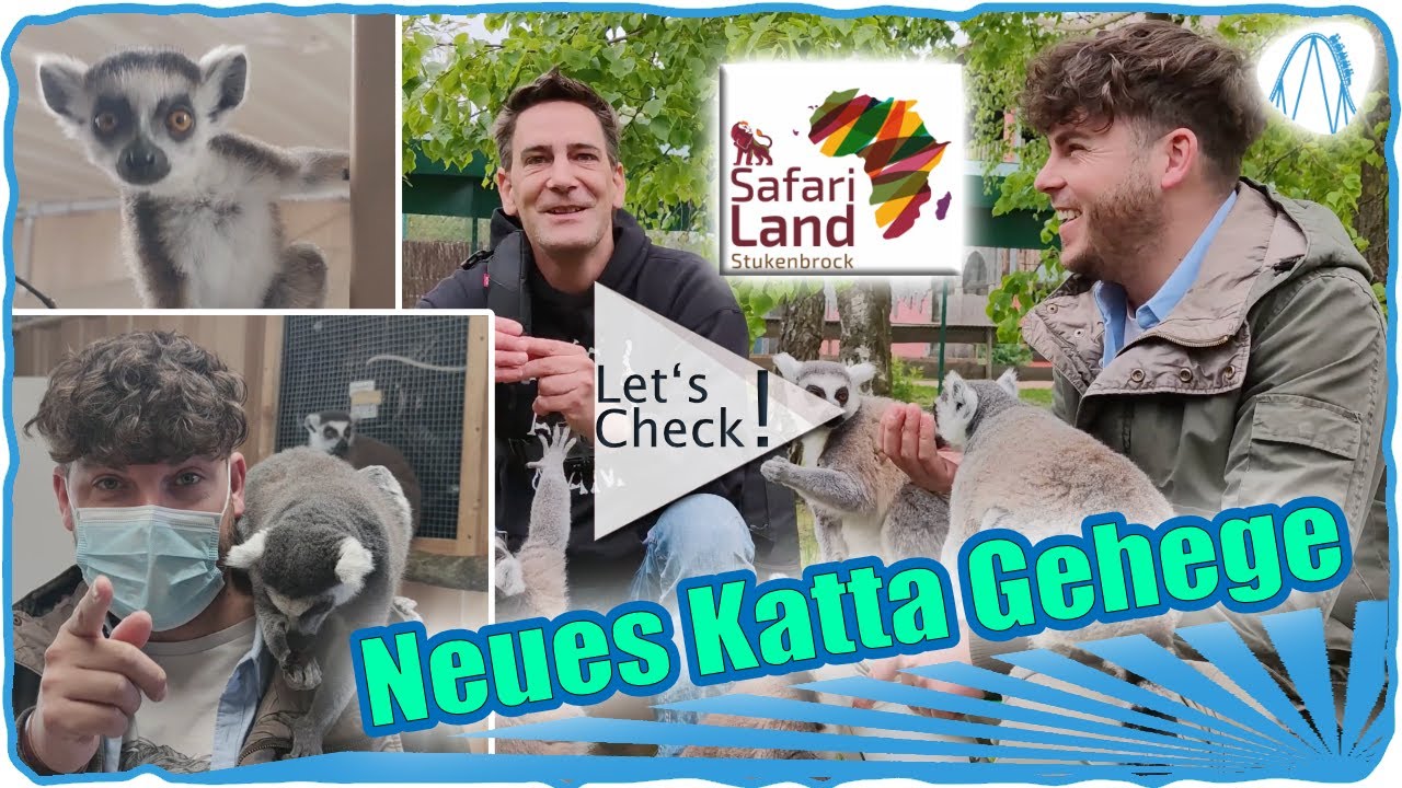 Safariland Stukenbrock Neues Katta Gehege und Interview mit dem Zoologischen Leiter Markus Köchling
