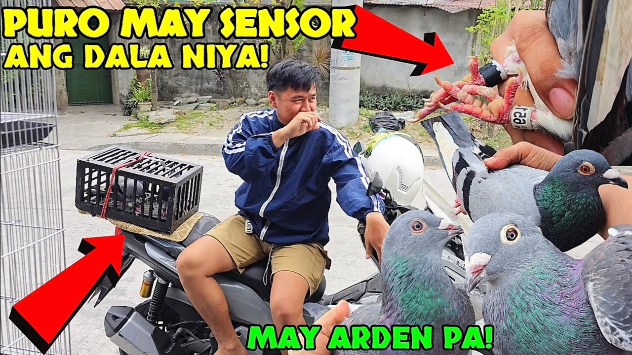 KYLE REGASPI puro tattooAN mga alaga nya!