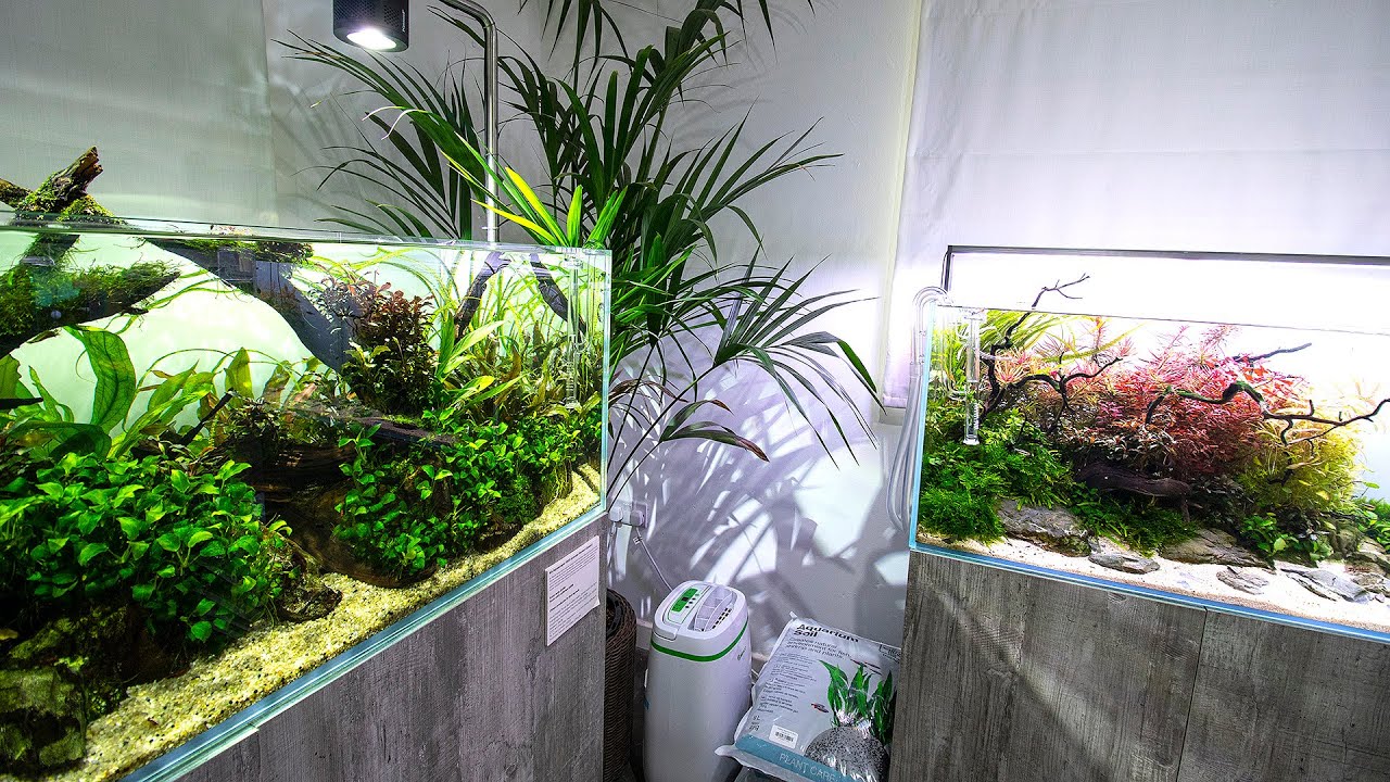 FANTASTIC FOUR -  LOW vs HIGH TECH AQUASCAPES