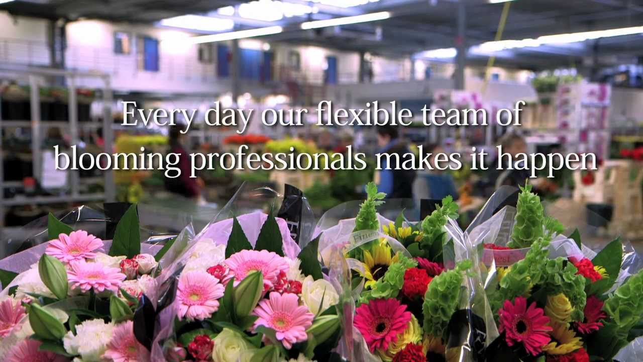Bedrijfsvideo: Intergreen Dutch Flower Group
