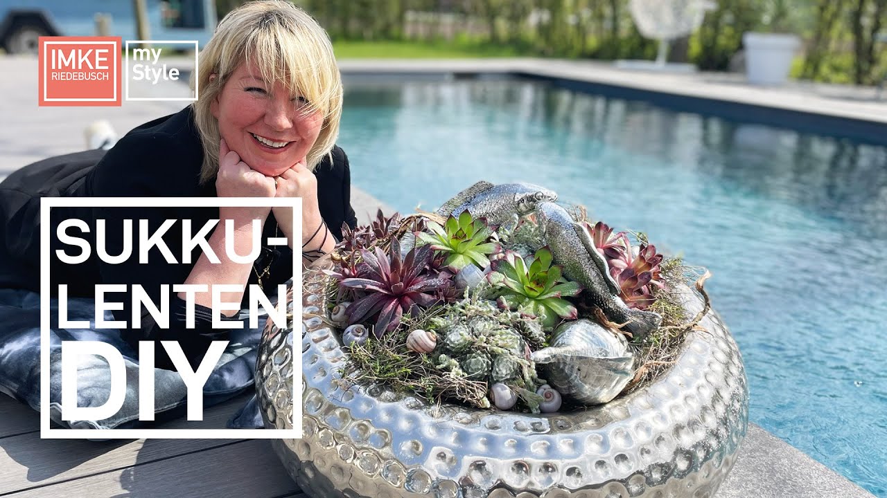 DIY Sukkulenten | Nordstil Imke Riedebusch