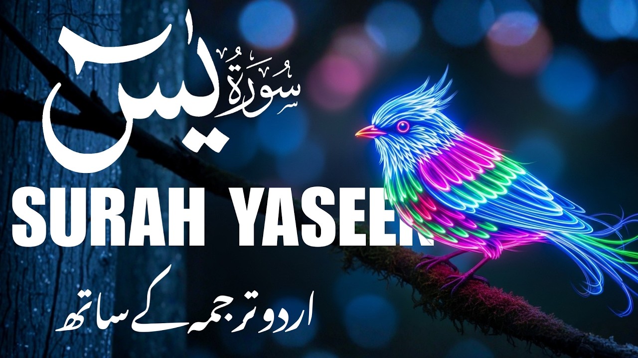 Full Surah Yasin with Urdu Translation | Soul Soothing Tilawat
