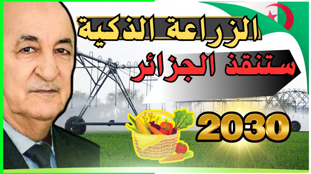 ✅الزراعة الذكية في الجزائر🔥ثورة تكنولوجية لتحقيق الأمن الغذائي قبل 🇩🇿2030