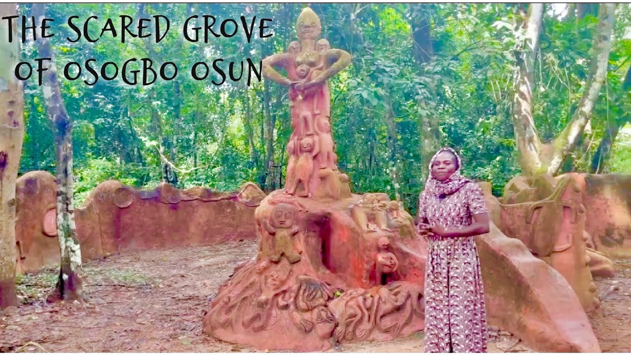 Omg! This is where barren women conceive in Osun Nigeria - The Scared Grove of Osogbo