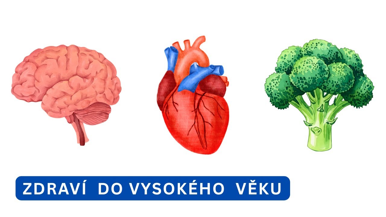 Celistvá rostlinná strava – Klíč ke zdraví do vysokého věku?