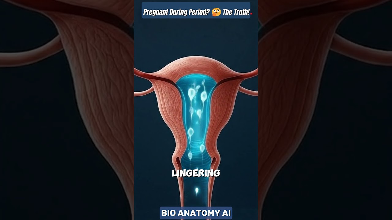 Can You Really Get Pregnant During Your Period? | Reproductive Facts Explained  #pregnancy #periods