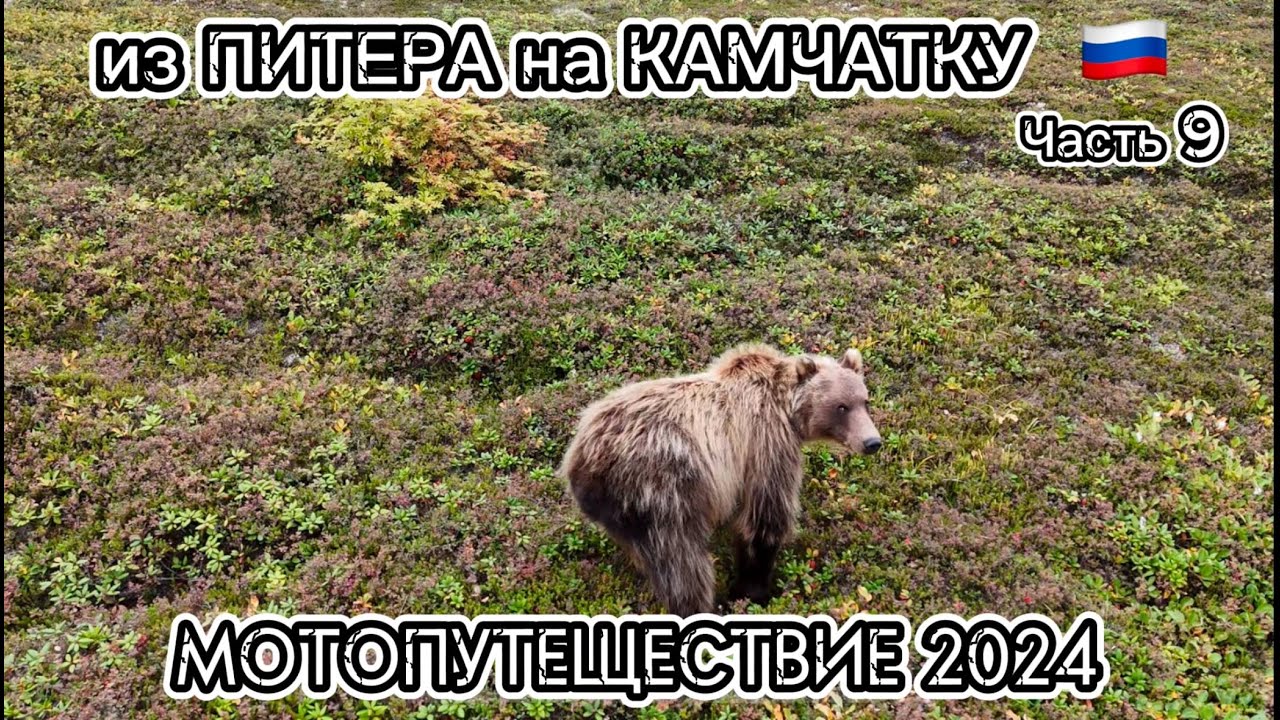 Из Питера на Камчатку через всю Россию. Мотопутешествие 2024. Часть 9