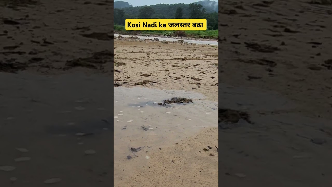 Kosi River ka Bahaaw tej