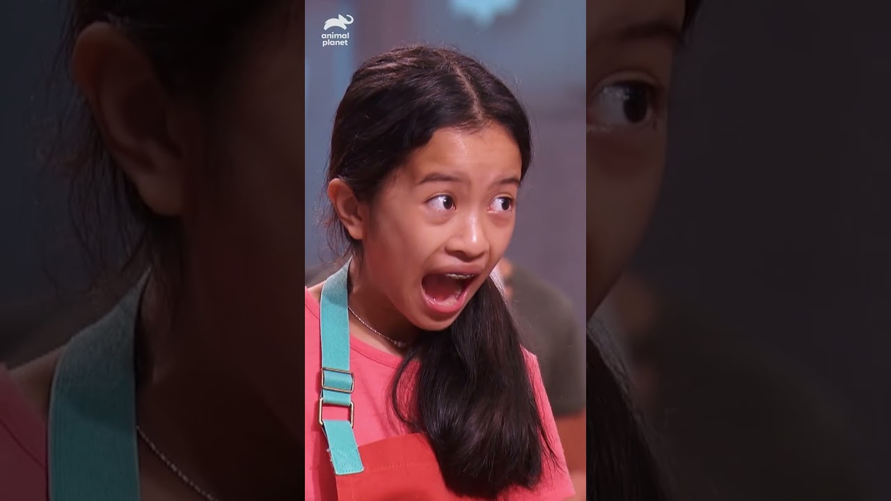 Little bakers from Kid's Baking Championship make puppy inspired cakes! | Puppy Bowl XVII