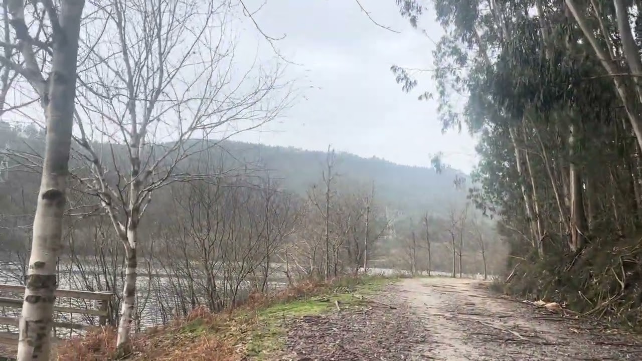 A Very Cool Landscape