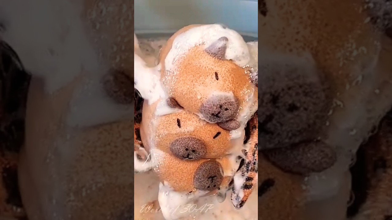 ASMR Stacked squeeze #asmr #oddlysatisfying #spongesqueeze
