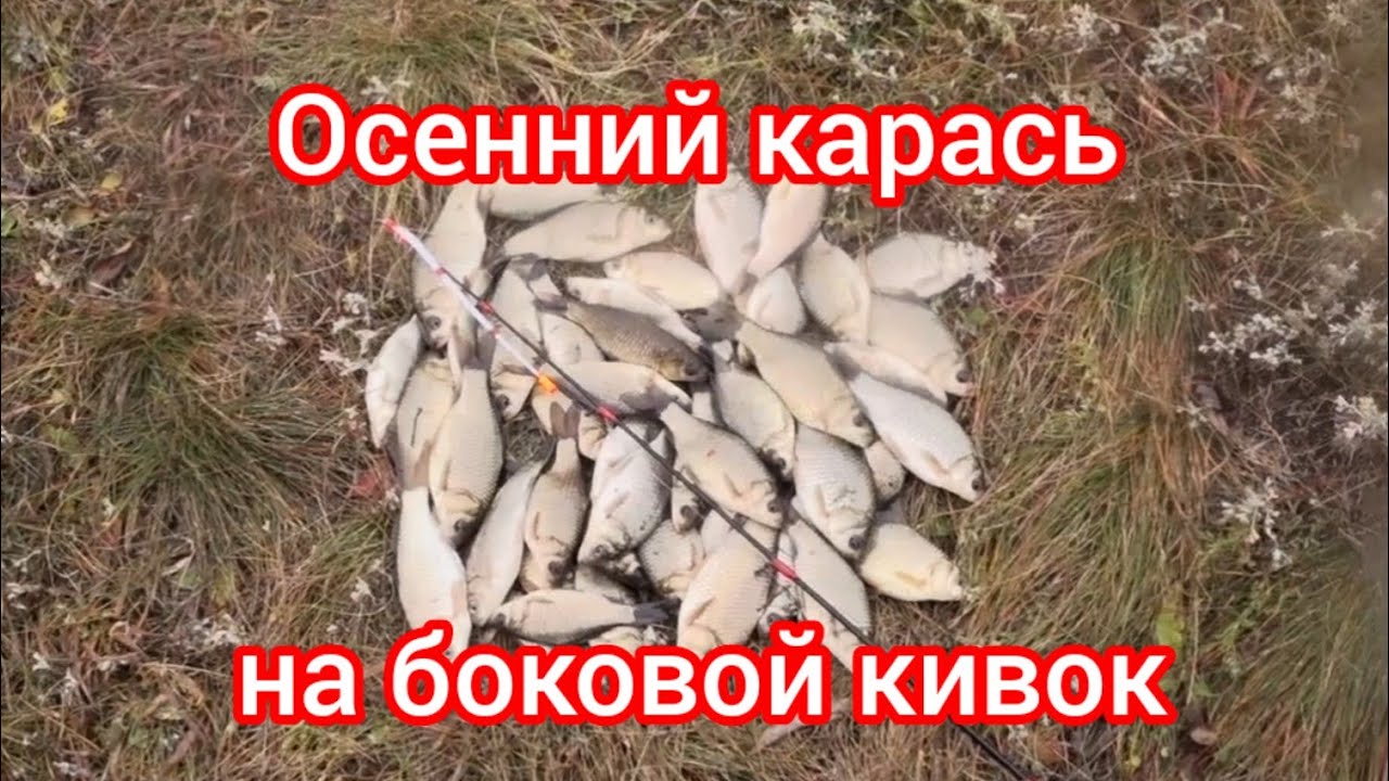 Осенний карась на зимний боковой кивок. Клёв как из пулемёта.