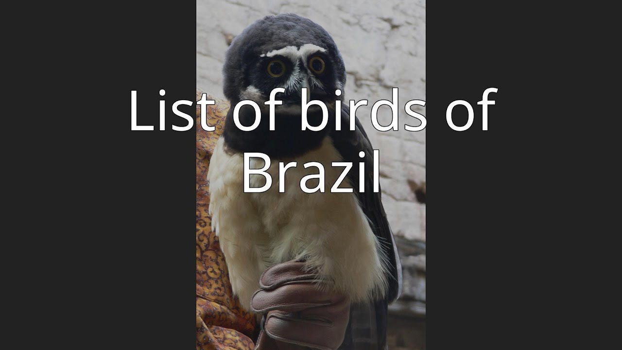 List of birds of Brazil