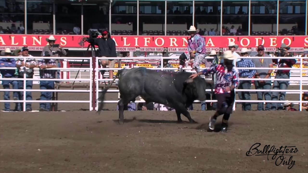 California Salinas Rodeo BFO - 2016