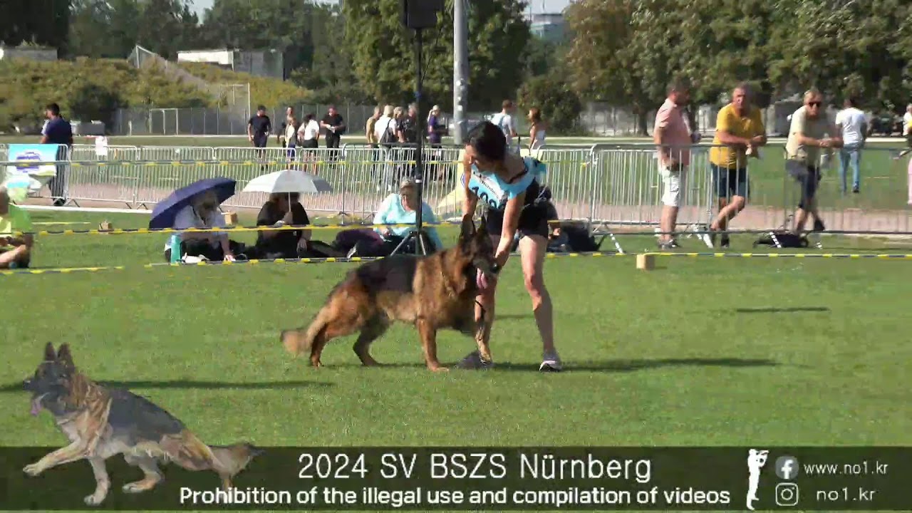 2024 SV Bundessiegerzuchtschau Nürnberg