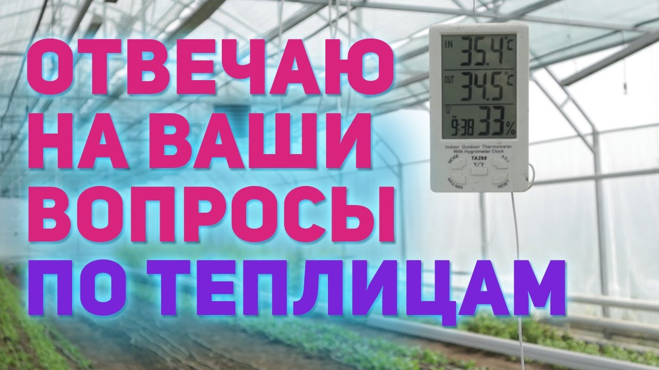Что лучше одинарная или двойная пленка? А может поликарбонат? Отвечаем на злободневные вопросы.