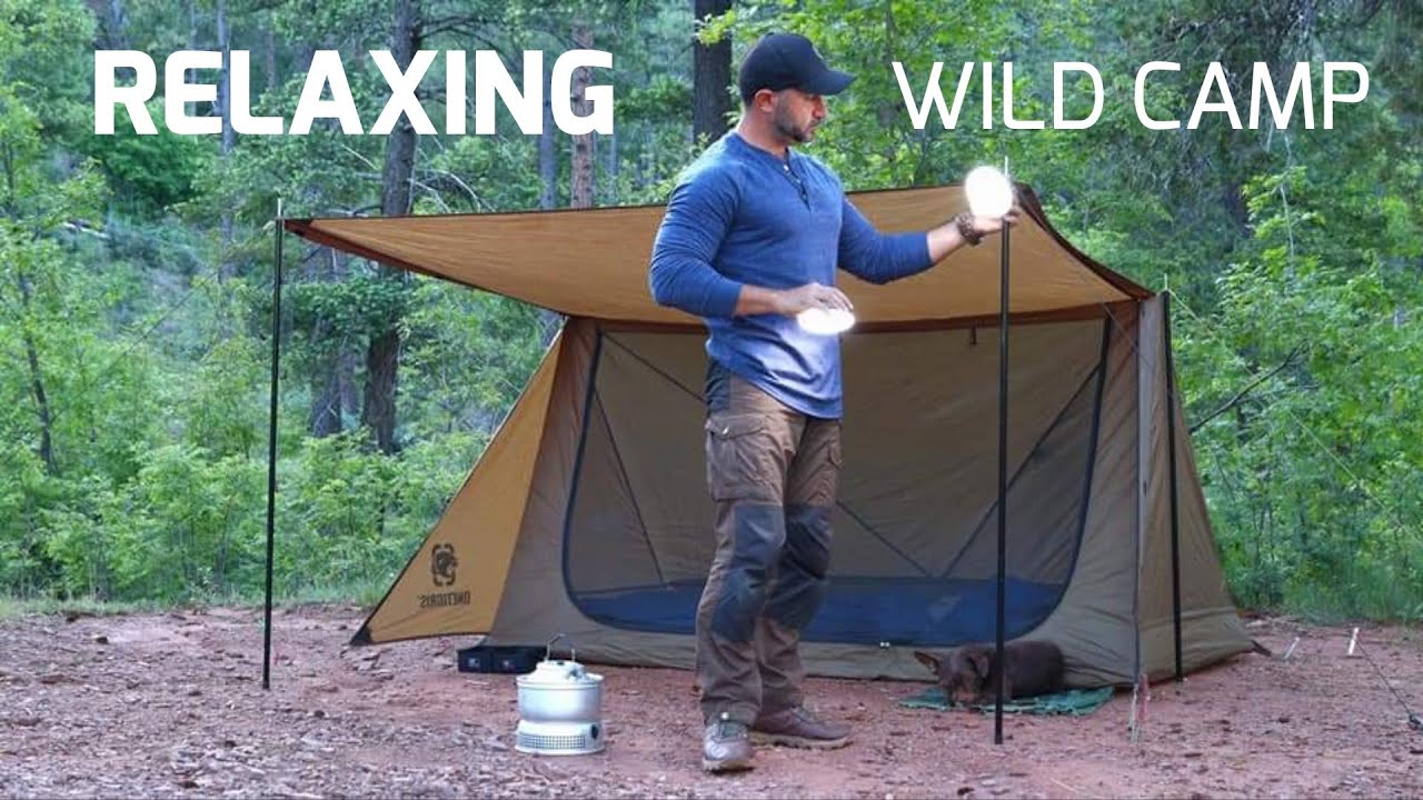 Solo Wild Camping, Relaxing with My Dog In The Forest, ASMR