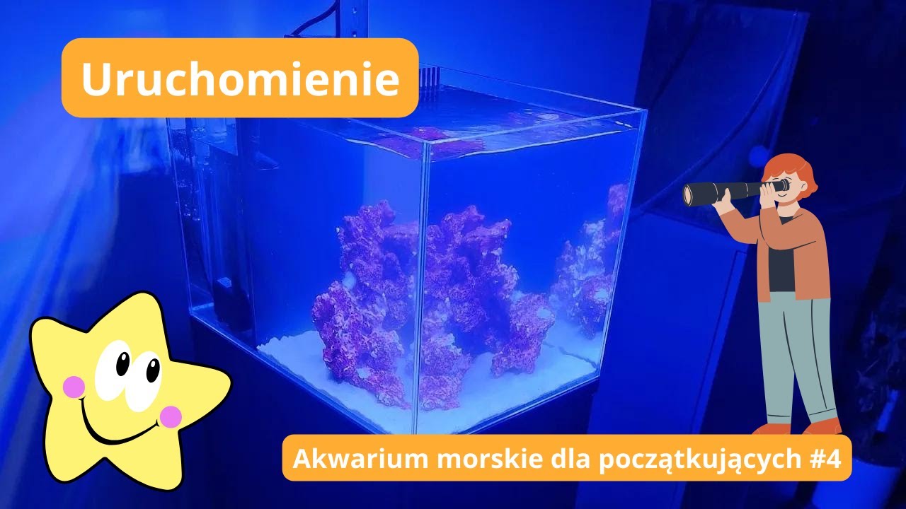 Zakładamy akwarium morskie ReefHouse Set 30 🏁 Akwarium morskie dla początkujących #4