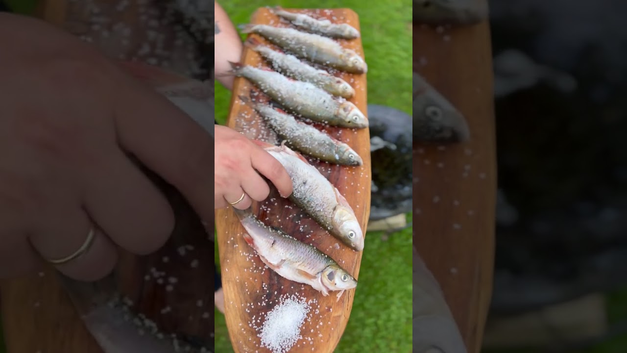 Priprema rečne ribe🔥 Skobalj i Klen 👌