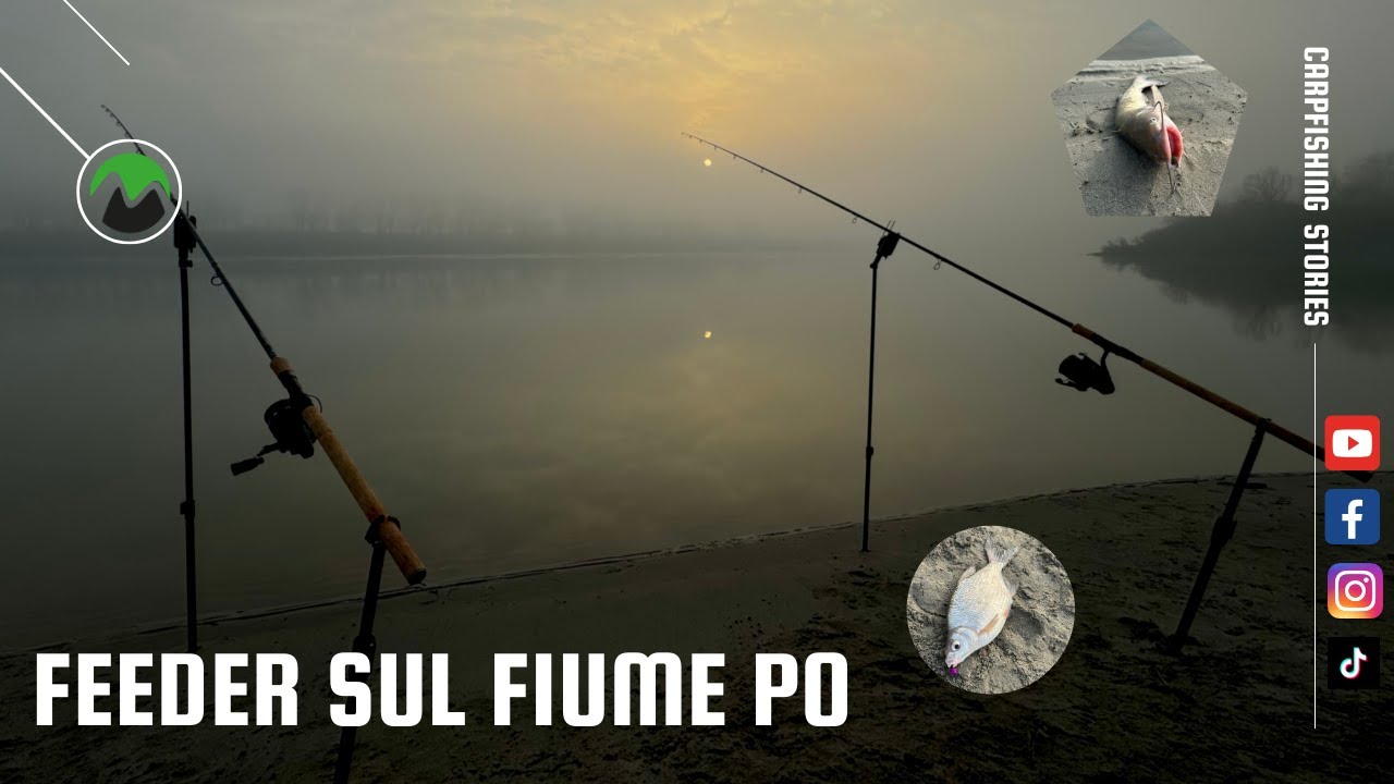 Feeder sul fiume Po - Winter Session