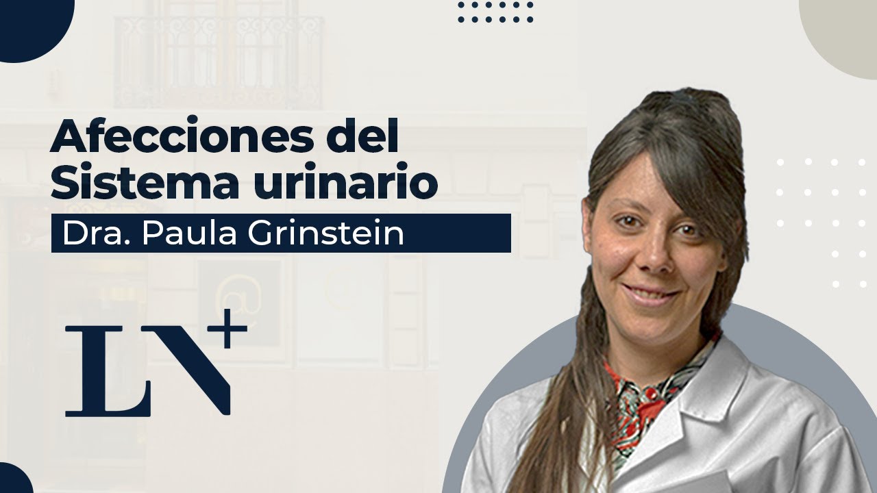 Afecciones del Sistema Urinario - Dra. Paula Grinstein