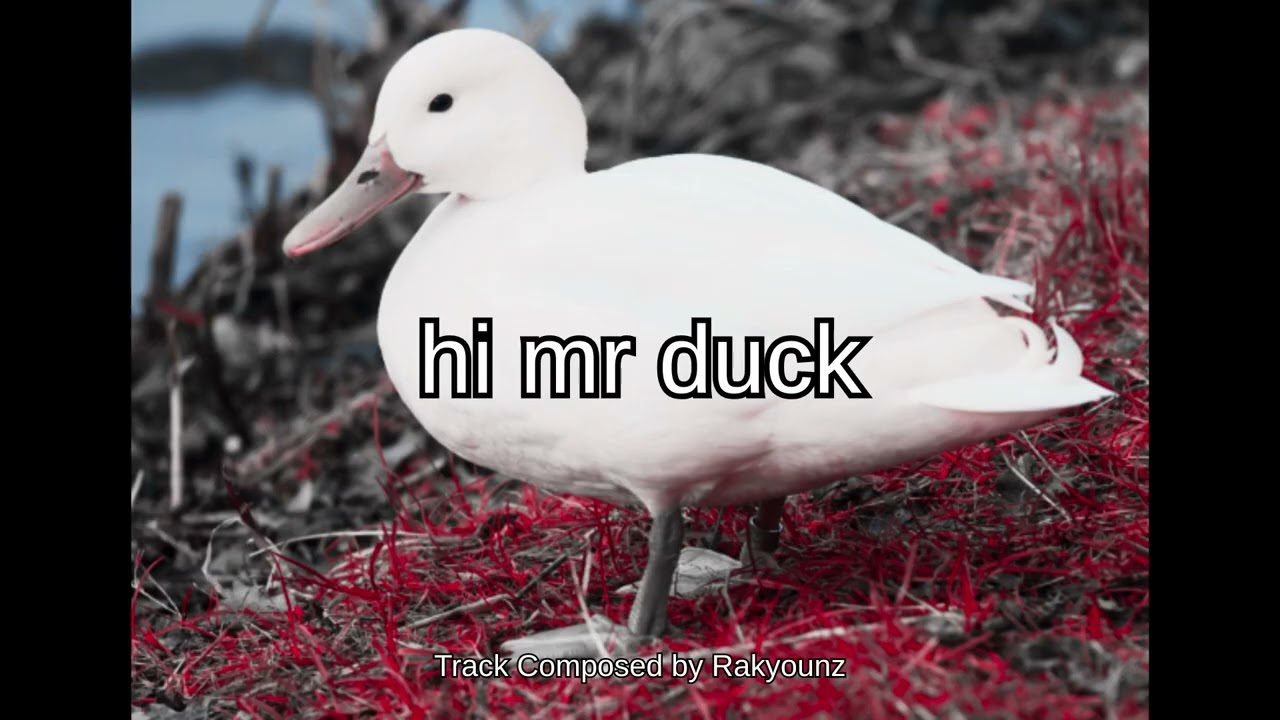 Rakyounz - hi mr duck (Official Audio)