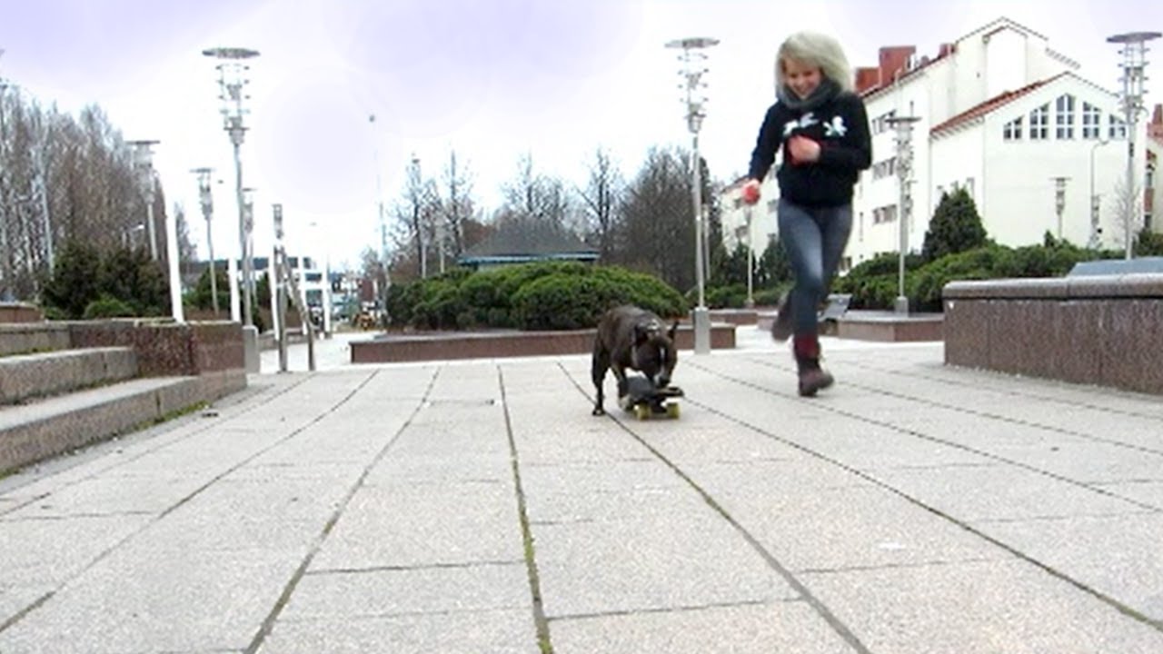 Rambo Staffi skeittaa ekaa kertaa talven j&auml;lkeen, 2016