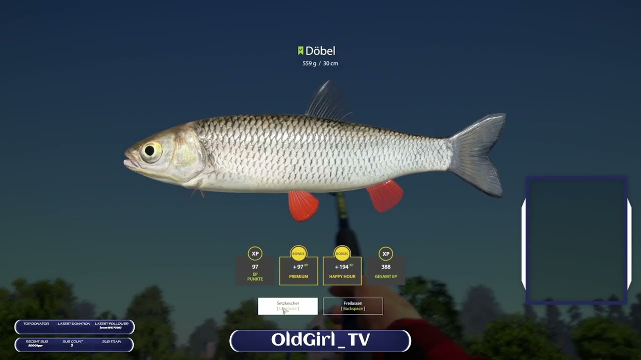 Krebse suchen am Windenbach