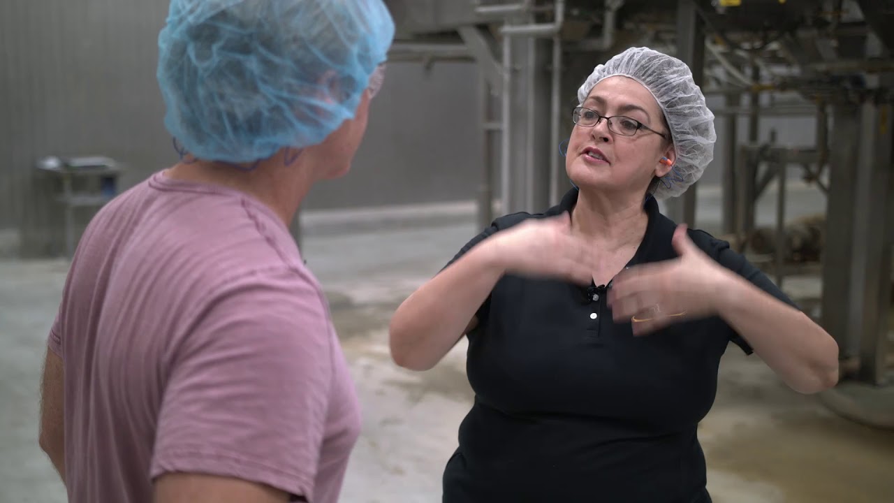 How tortilla chips are made - by Curiosity Quest