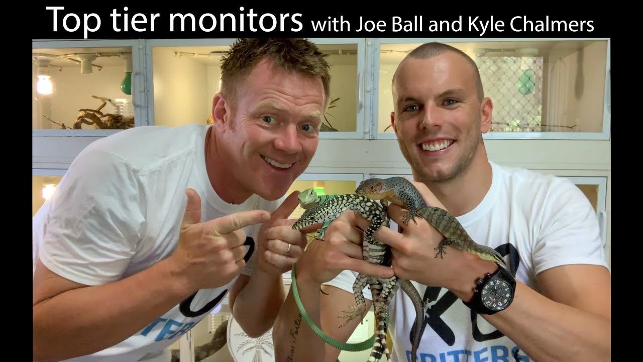 Top tier monitors with Joe Ball and Kyle Chalmers
