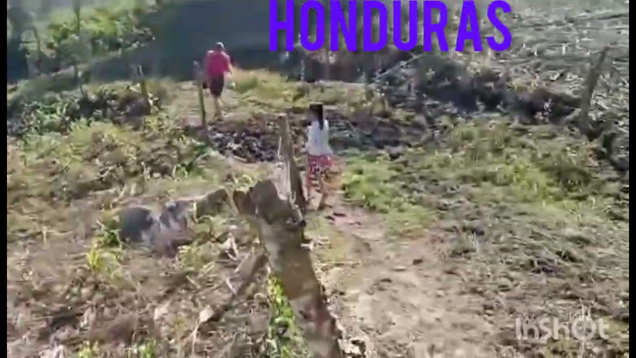 Vida rural de honduras 
