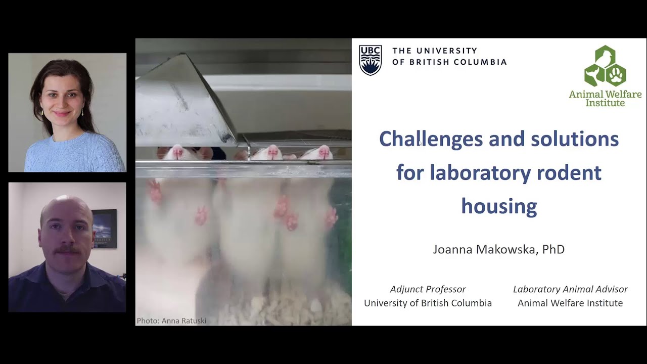 Challenges and Solutions for Laboratory Rodent Housing presented | Dr. Joanna Makowska