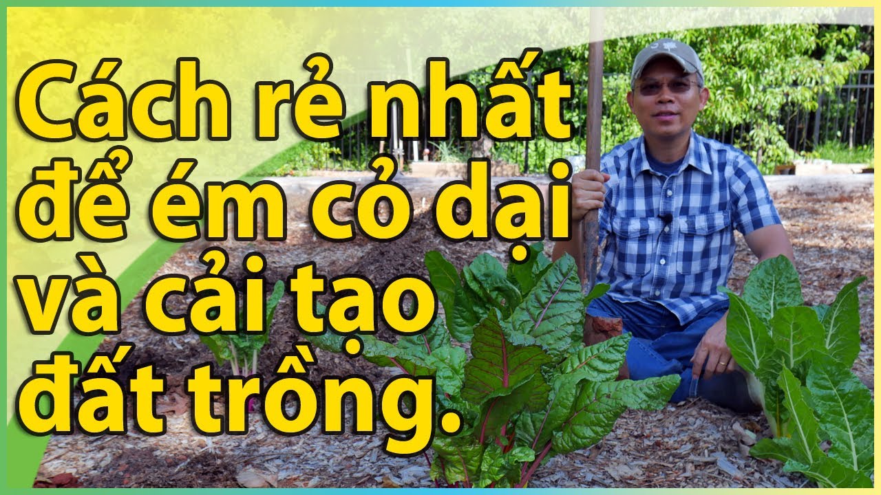 Cách rẻ nhất để ém cỏ dại trong vườn và cải tạo đất trồng (cần thời gian).