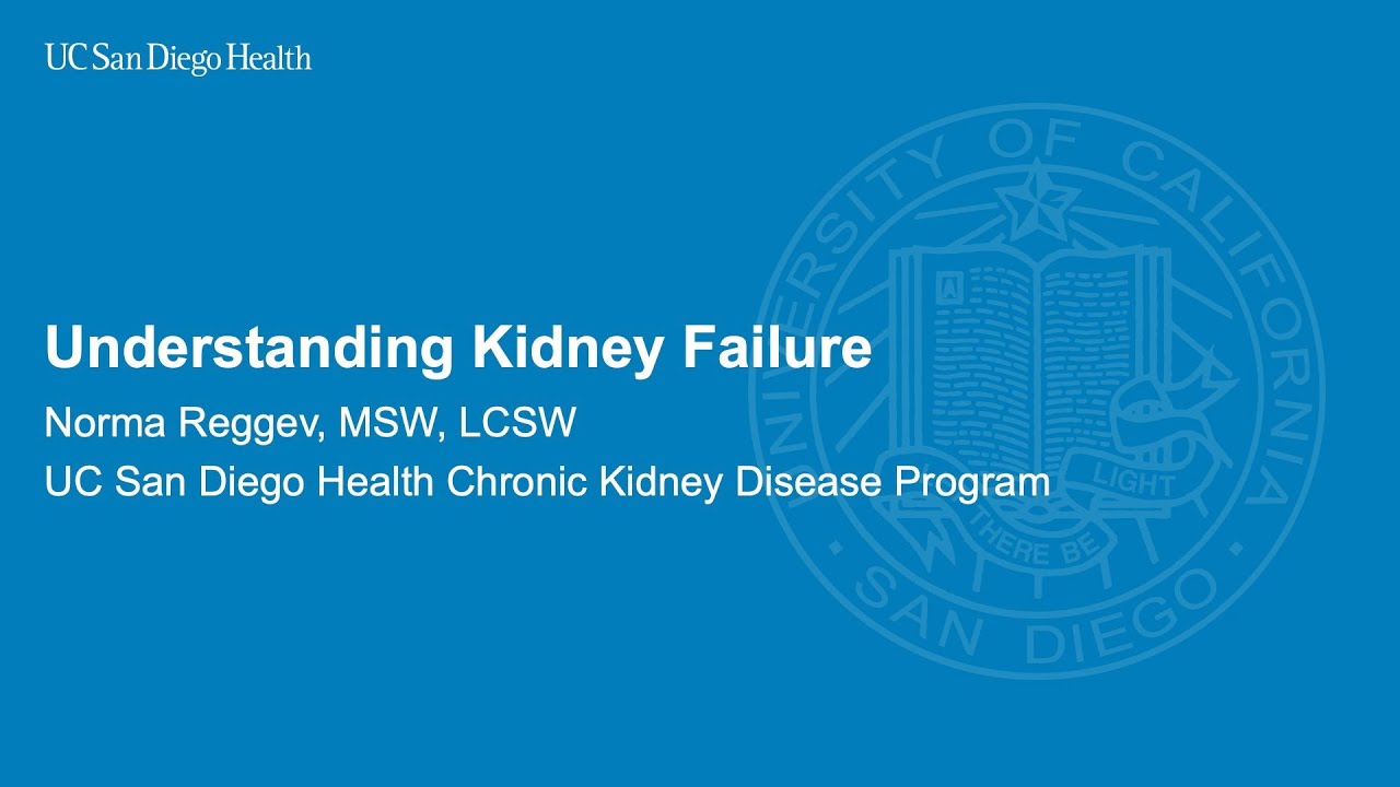 Understanding Kidney Failure