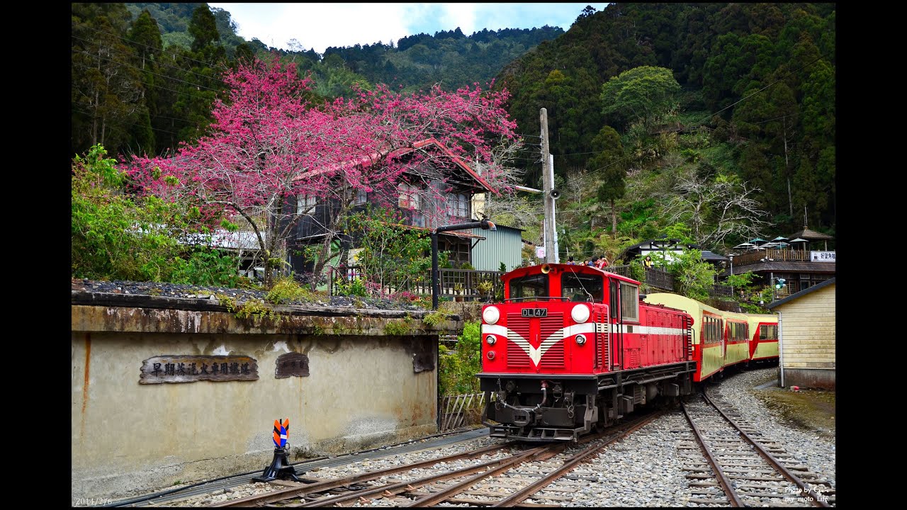 阿里山森林鐵路 「嘉義~奮起湖」( 影片以3倍速播放 )